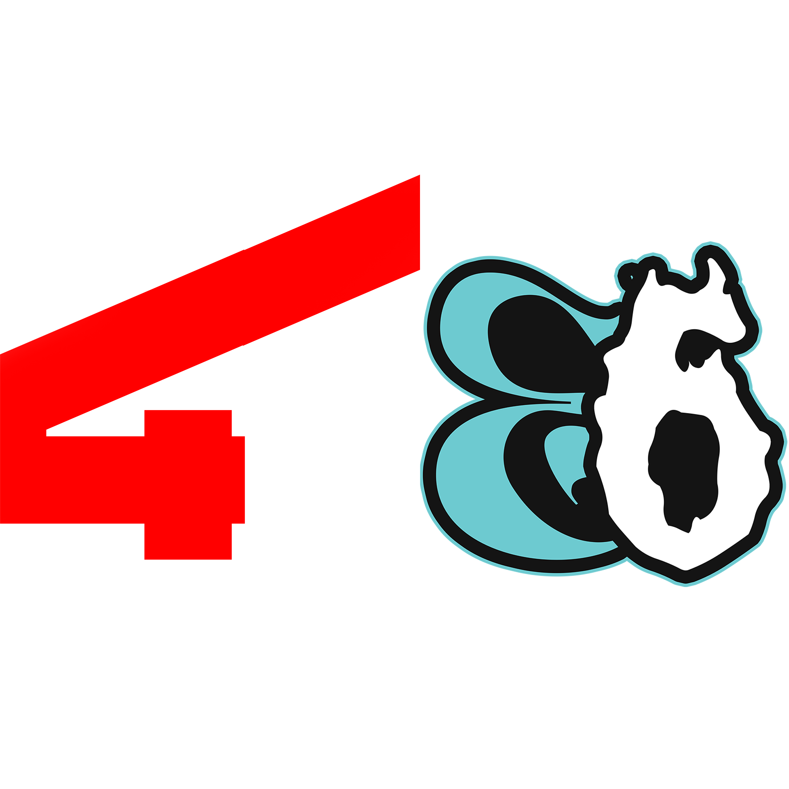 N4R Forum